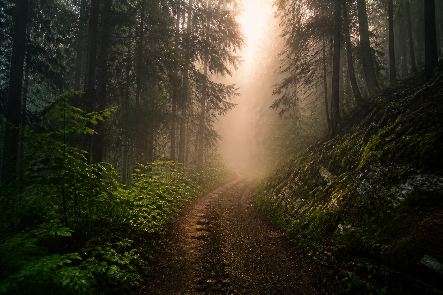Communicating Uncertainty