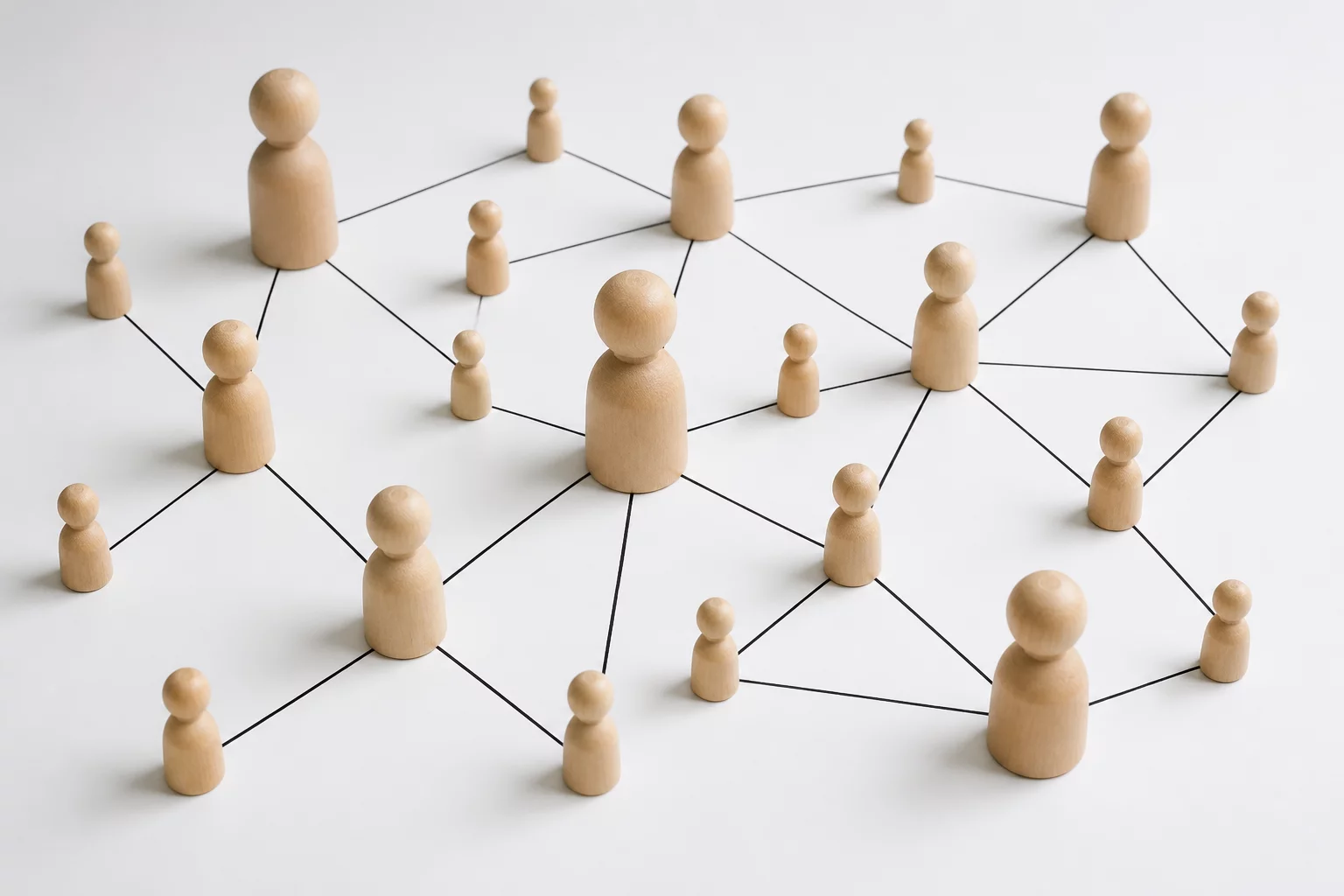 Social Science Data Evaluation - Checking statistical models and survey metadata
